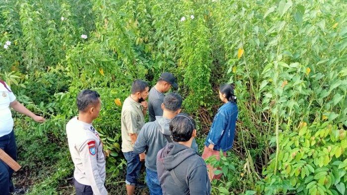 Mahasiswi di Polman Bunuh Lalu Buang Bayinya di Tempat Sampah, Hasil Hubungan Gelap Bareng Pacar